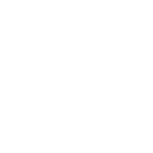 Home-Icon (1.1)